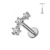 Collection Piercings Titane — Designs Fleurs Élégants