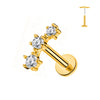 Collection Piercings Titane — Designs Fleurs Élégants